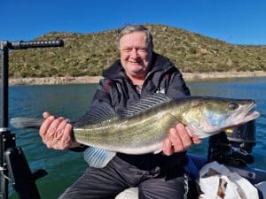 guidage carnassier en espagne (4) (FILEminimizer)